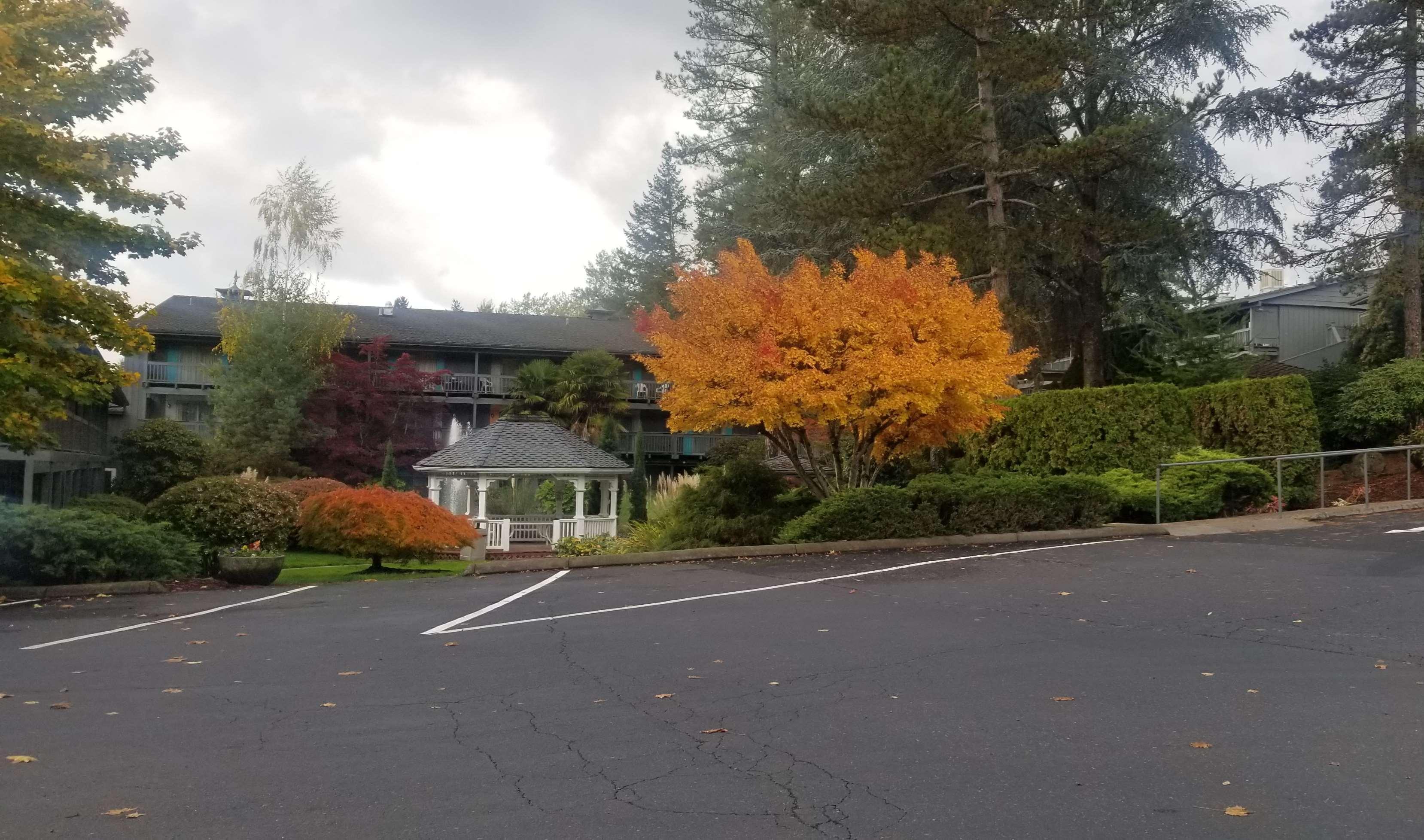 Best Western Portland West Beaverton Exteriér fotografie